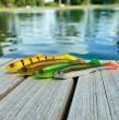 Zestaw-przynet-SAVAGE-GEAR-HERRING-SHAD-V2-11CM-DARK-WATER-MIX-4-sztuki-Kod-producenta-1639346.jpg