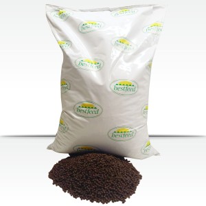 BestFeed Pellet Granulat na wagę 24/7 - 2mm/1kg